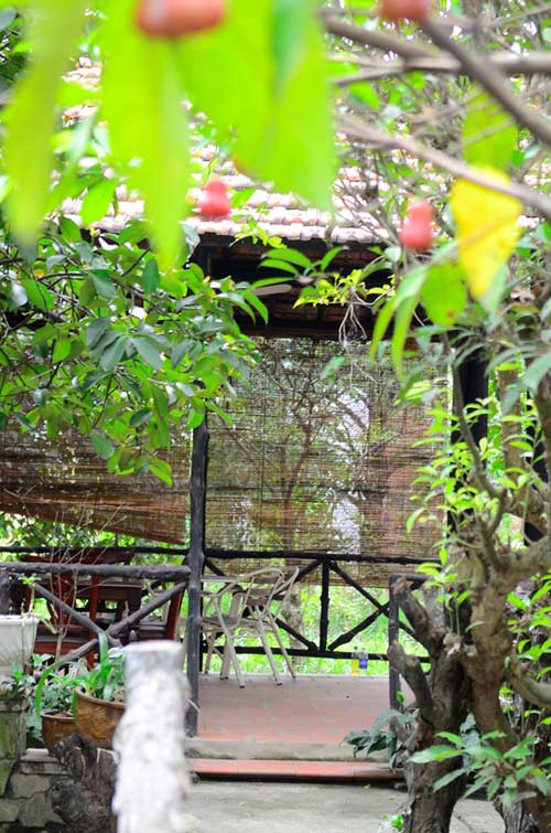 Cơ ngơi Việt Trinh thênh thang vườn tược - 4
