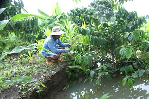 Đất nứt, xé toạc nhà dân cạnh hồ thủy điện - 3