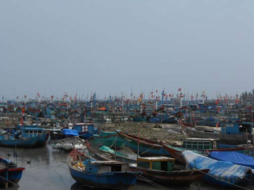 Dân đảo trắng đêm trong bóng tối trốn bão - 5