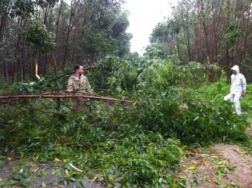 Thừa Thiên Huế: Nước sông Hương dâng cao - 2