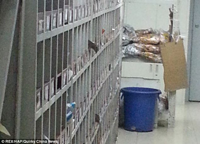 TQ: Chuột lúc nhúc trong phòng điều chế thuốc - 2