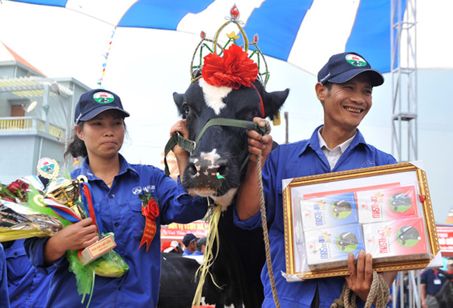 Vương miện Hoa hậu được trao cho cô bò sữa mang số 2771 của chủ bò Dương Văn Nội, tiểu khu Vườn Đào 2, thị trấn Nông trường Mộc Châu. Giải thưởng trị giá 56 triệu đồng gồm 10 triệu tiền mặt và một máy vắt sữa hiện đại.
