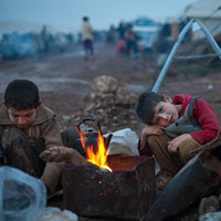 Tin tức trong ngày - Syria: Dân đạo Hồi ở chiến địa được ăn thịt chó