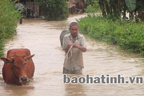 Người dân Hà Tĩnh tất tả chạy lũ - 6