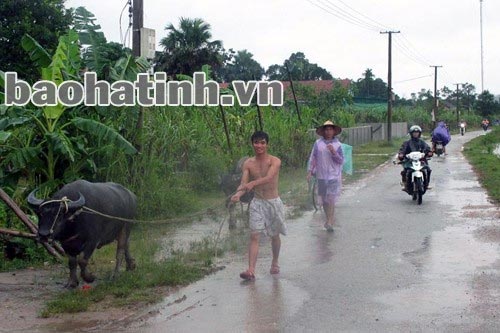 Người dân Hà Tĩnh tất tả chạy lũ - 7