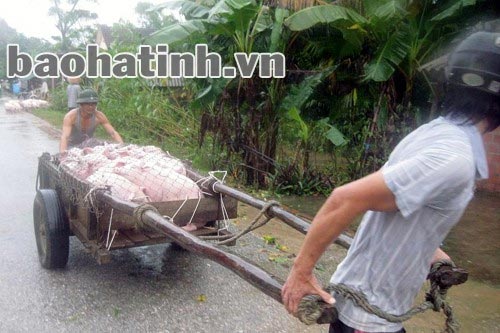 Người dân Hà Tĩnh tất tả chạy lũ - 8