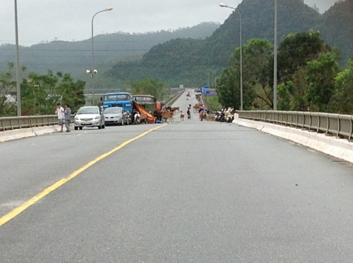 Bão, lũ lịch sử quần nát Quảng Bình - 8