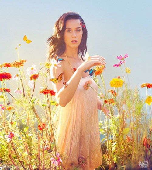 Katy Perry hóa nàng tiên bướm xinh đẹp - 2