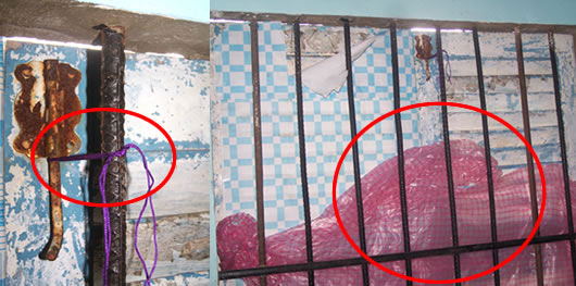 Chạy bão kiểu sinh viên - 2