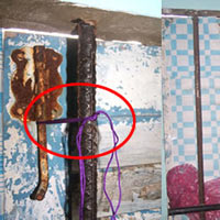 Giáo dục - du học - Chạy bão kiểu sinh viên