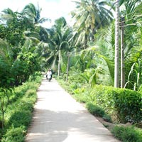 Thị trường - Tiêu dùng - Vốn ODA sẽ được ưu tiên xây dựng nông thôn mới