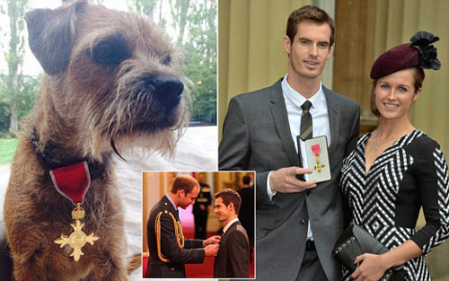 Murray đeo Huân chương OBE cho... chó - 1