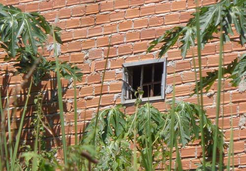 Thiếu nữ bị cha ruột “cầm tù" tại gia - 2