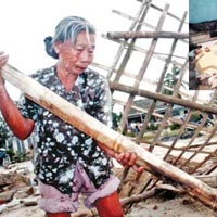 Tin tức trong ngày - 20/10: Không có hoa cho vùng bão lũ