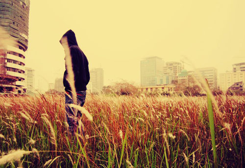 Gặp mẹ trong mơ - 1