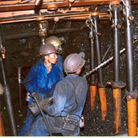 Tin tức trong ngày - Phó TGĐ Vinacomin buồn vì lương nhân viên 7,2 triệu đồng