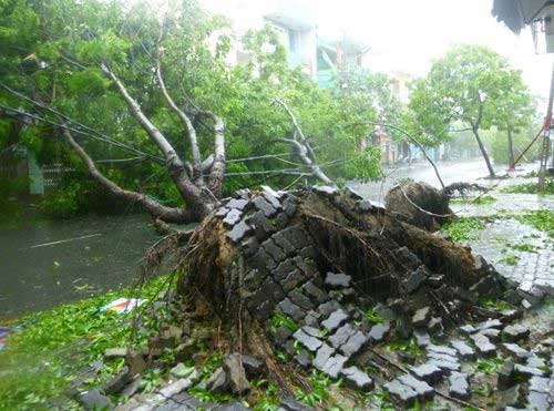Đà Nẵng: Bão số 11 làm "lộ" nhiều trách nhiệm! - 4