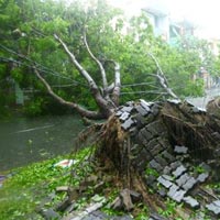 Tin tức trong ngày - Đà Nẵng: Bão số 11 làm "lộ" nhiều trách nhiệm!