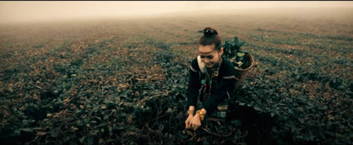 Cảnh sắc thiên đường trong MV nhạc Việt - 2