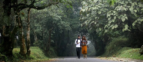 Cảnh sắc thiên đường trong MV nhạc Việt - 16