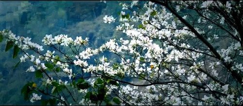 Cảnh sắc thiên đường trong MV nhạc Việt - 10