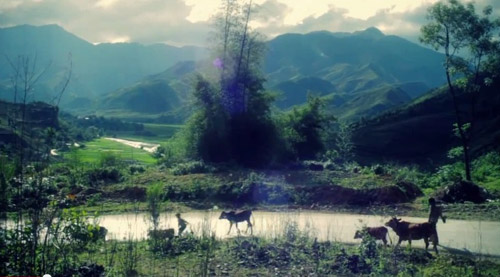 Cảnh sắc thiên đường trong MV nhạc Việt - 7