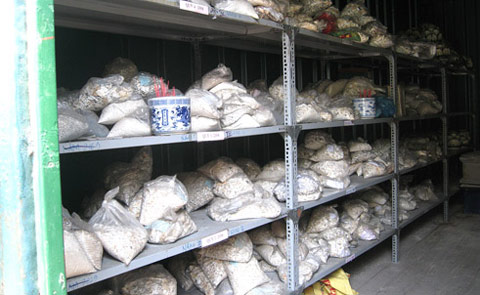 Chuyện hãi hùng ở nhà giữ thi thể vô thừa nhận - 1