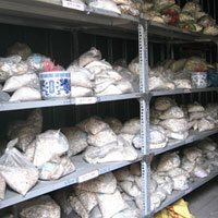 Tin tức trong ngày - Chuyện hãi hùng ở nhà giữ thi thể vô thừa nhận