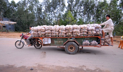 Xe thồ hàng lút mặt tài xế chỉ có ở miền Tây - 10