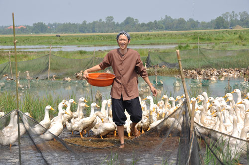 Mỹ nhân, tài tử Việt hóa “hai lúa” - 1