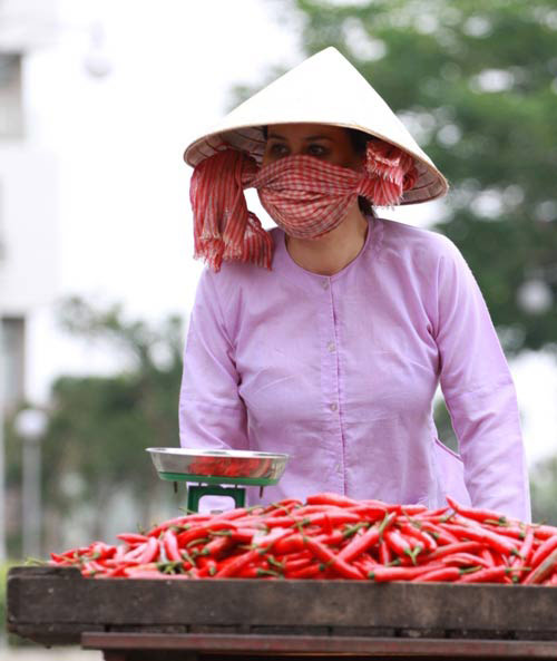 Mỹ nhân, tài tử Việt hóa “hai lúa” - 2
