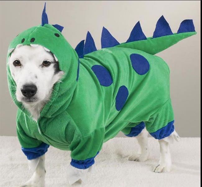 Chú cún được biến mình thành cá sấu
