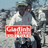 Pháp luật - Tướng cướp được mệnh danh “Bạch Hải Đường xứ Quảng”