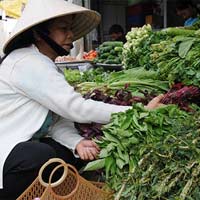 Thị trường - Tiêu dùng - Người tiêu dùng... kiệt sức