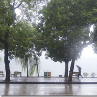 Tin tức trong ngày - Sương mù tiếp tục bao phủ toàn miền Bắc