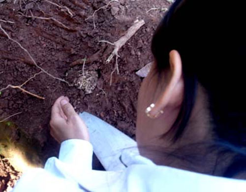 "Ngoại cảm gì mà nhiều như nấm sau mưa!" - 2