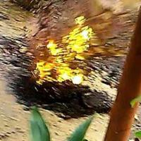 Tin tức trong ngày - Vụ “mặt đường phụt lửa”: Nhiều ngôi mộ bốc khói