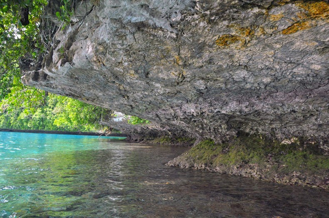 Thả hồn vào sắc xanh đảo Rock ở Palau - 14