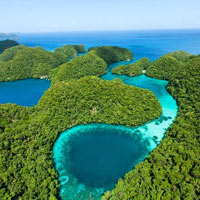 Thả hồn vào sắc xanh đảo Rock ở Palau