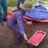 Tin tức trong ngày - Gia đình liệt sĩ không tin "nhà ngoại cảm"