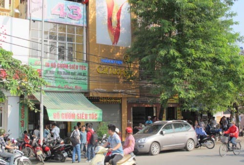 "Không lấy vụ Cát Tường quy trách nhiệm Bộ Y tế" - 1