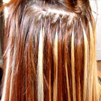 Sức khỏe đời sống - Kinh hoàng giòi chui vào não vì nối tóc