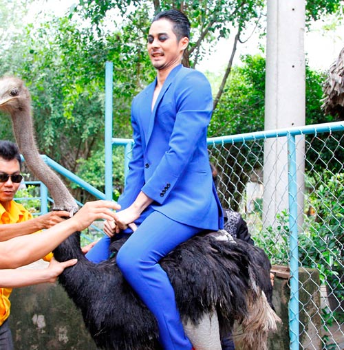 Mỹ nam ngã nhào vì cưỡi đà điểu - 2