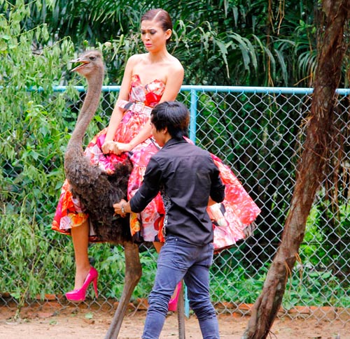 Mỹ nam ngã nhào vì cưỡi đà điểu - 9