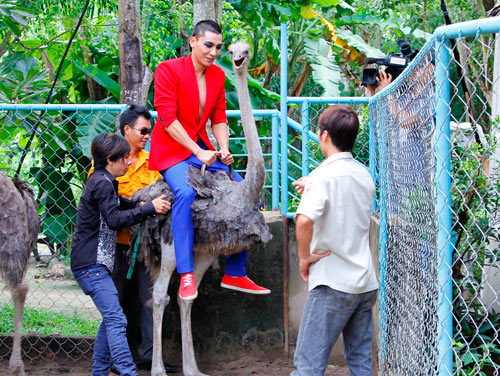 Mỹ nam ngã nhào vì cưỡi đà điểu - 12