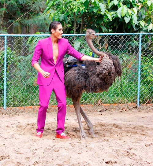 Mỹ nam ngã nhào vì cưỡi đà điểu - 13