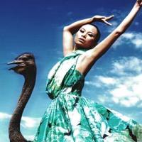 Người mẫu - Hoa hậu - Kim Thoa bị ví là "thảm họa thời trang"