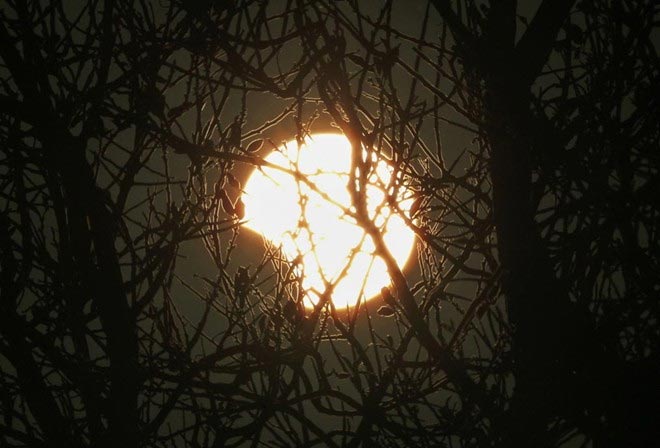 Nhật thực lai xuất hiện ở Mỹ, châu Âu, châu Phi - 6