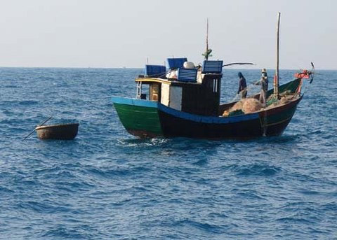 Tránh bão, tàu cá cùng 14 ngư dân mất liên lạc - 1