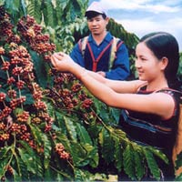 Phi thường - kỳ quặc - Việt Nam có thêm 8 kỷ lục châu Á